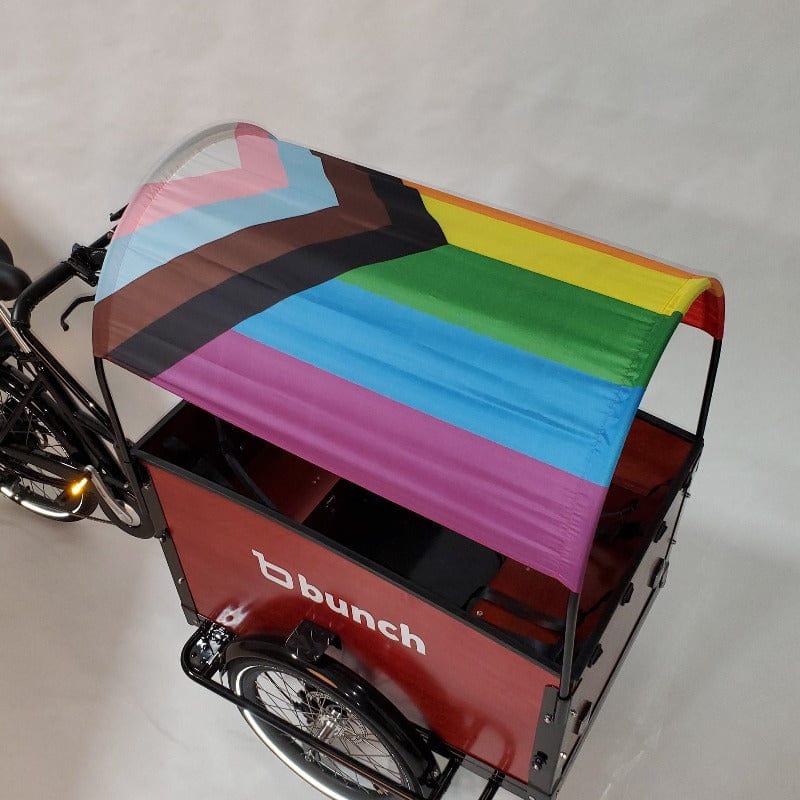 Pride Flag rainbow progress flag sun shade on bunch bike