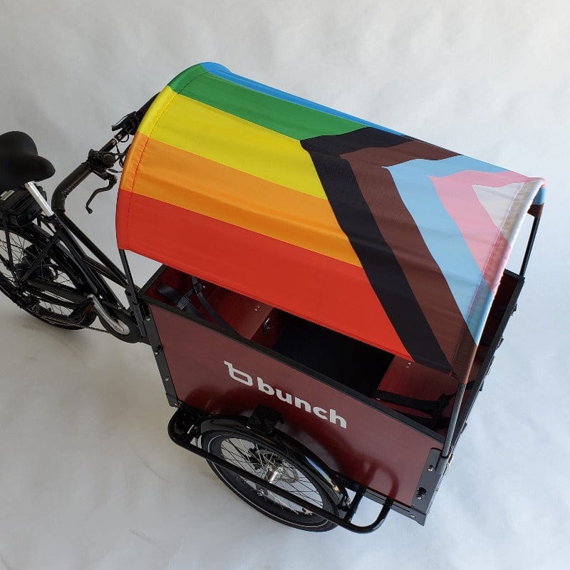 Pride Flag rainbow progress flag sun shade on bunch bike