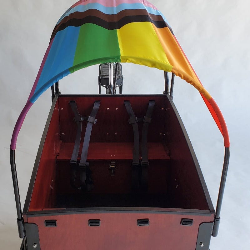 Pride Flag rainbow progress flag sun shade on bunch bike