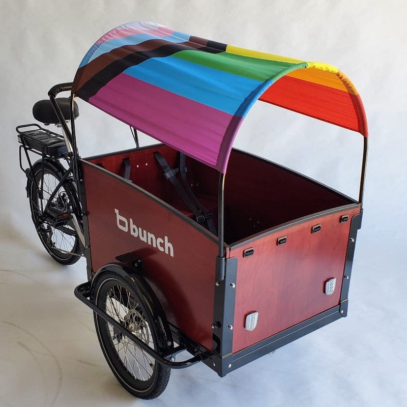 Pride Flag rainbow progress flag sun shade on bunch bike