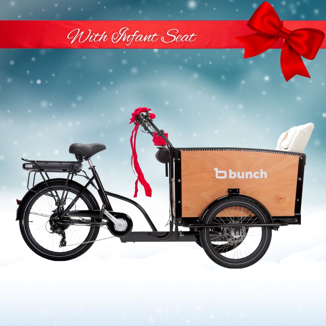 #Bike Model_The Original 3.0