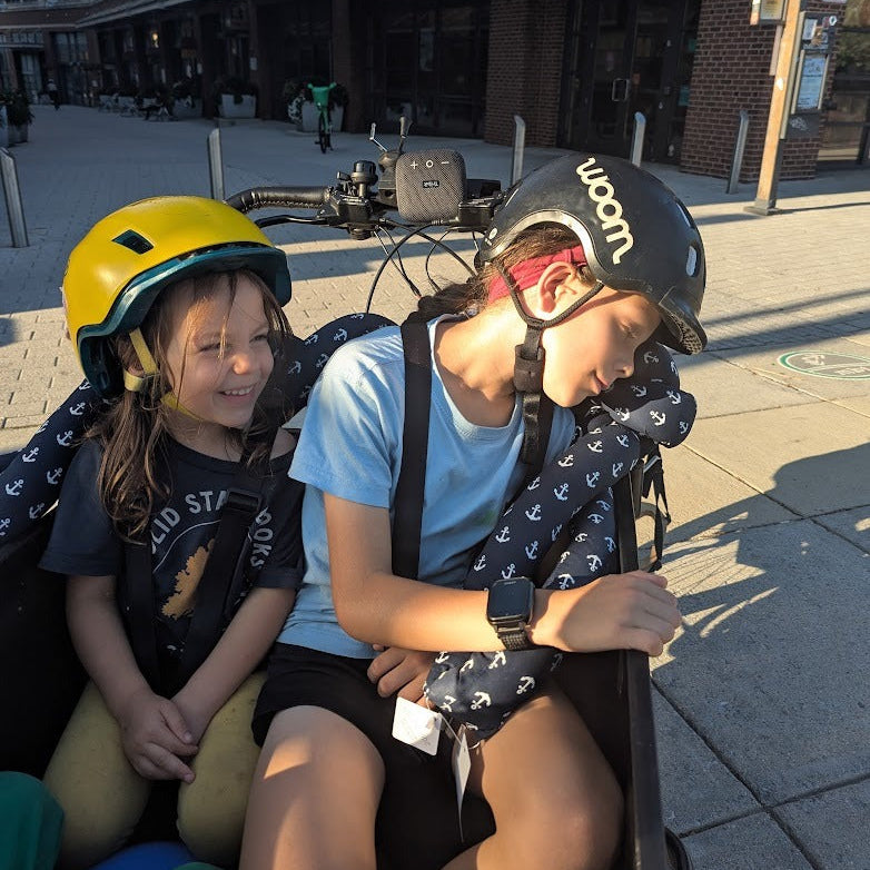 PREORDER: Nap My Ride - Cargo Bike Cushion