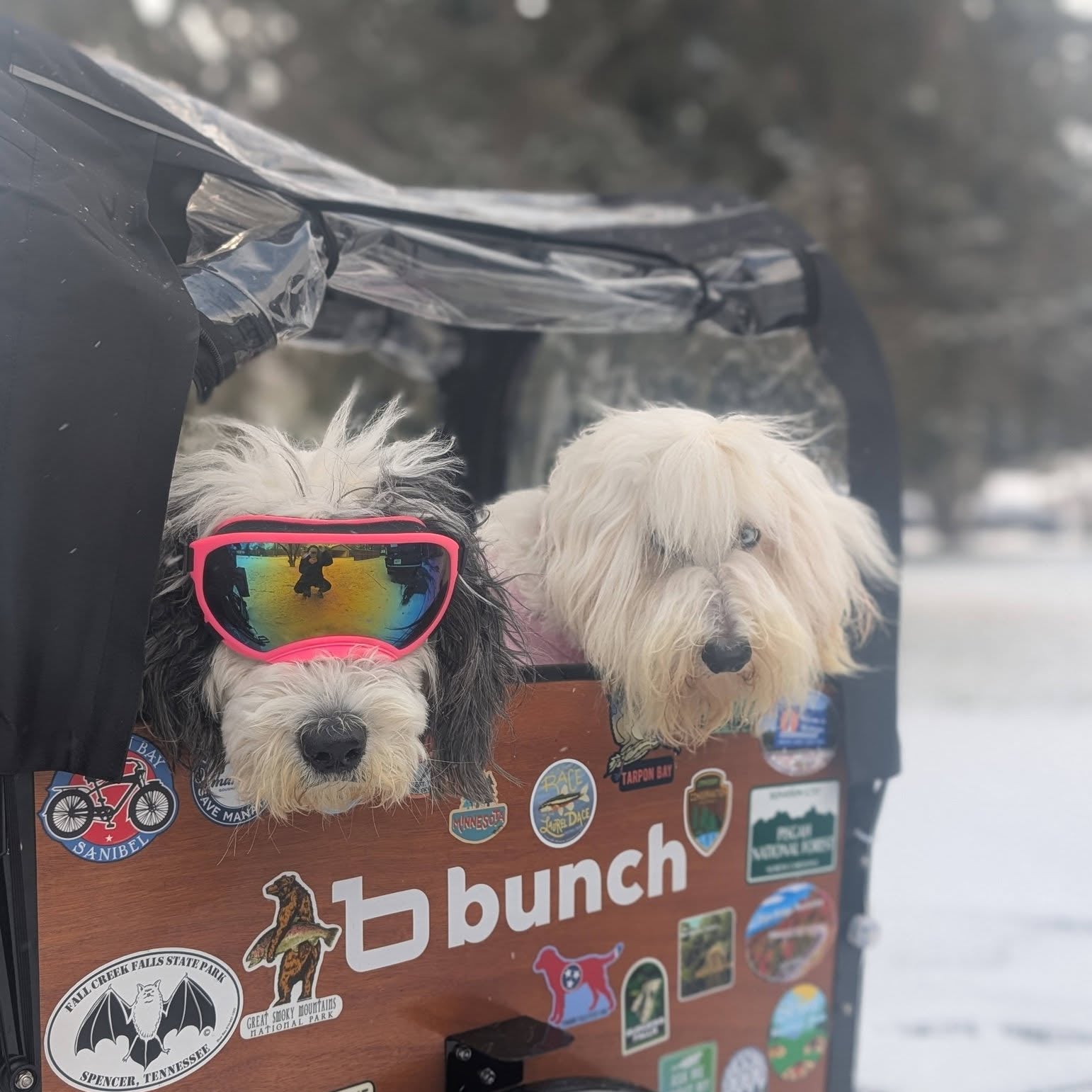 #color_Honey Woodgrain