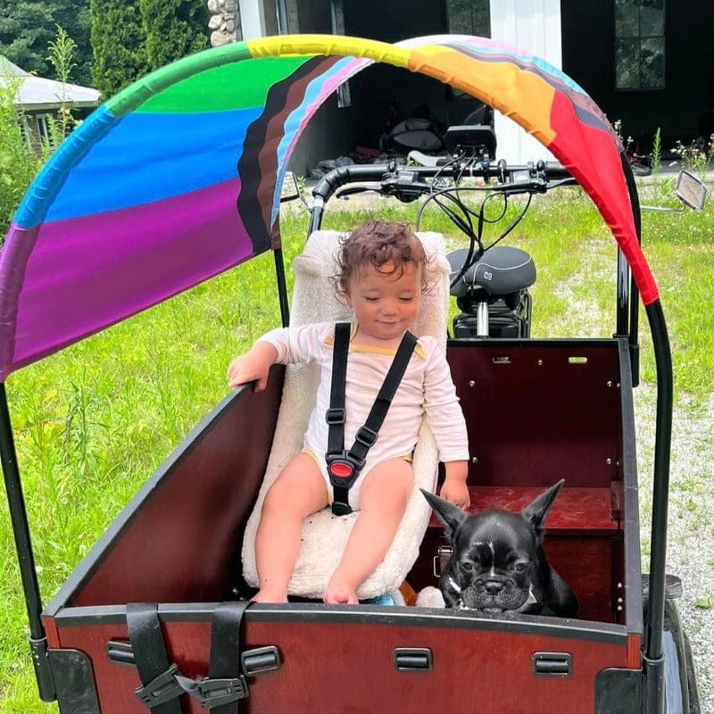 Pride Flag Sun Shade