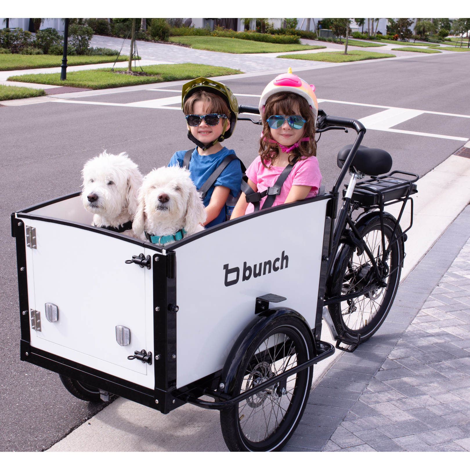 Two kid sand two dogs in Bunch Bike