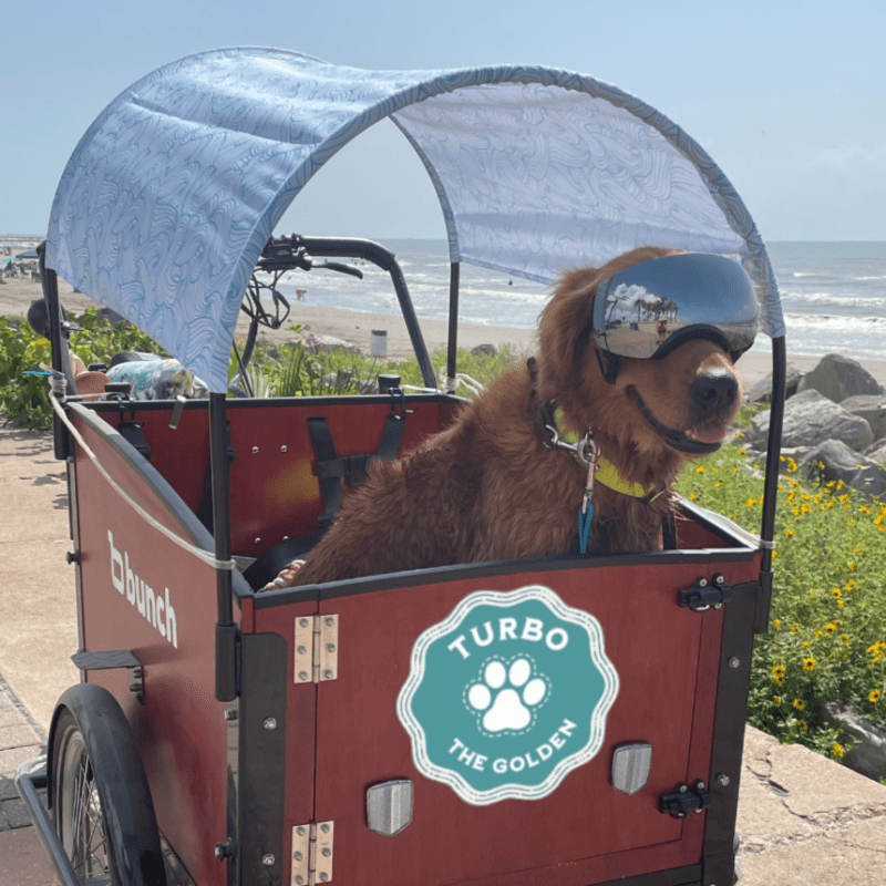 #Style_Mermaid Waves