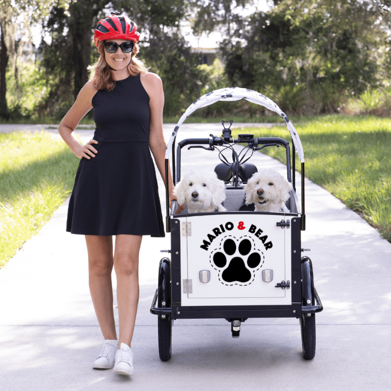 Woman with dog in K9 bunch bike cargo bike #color_Sleek White
