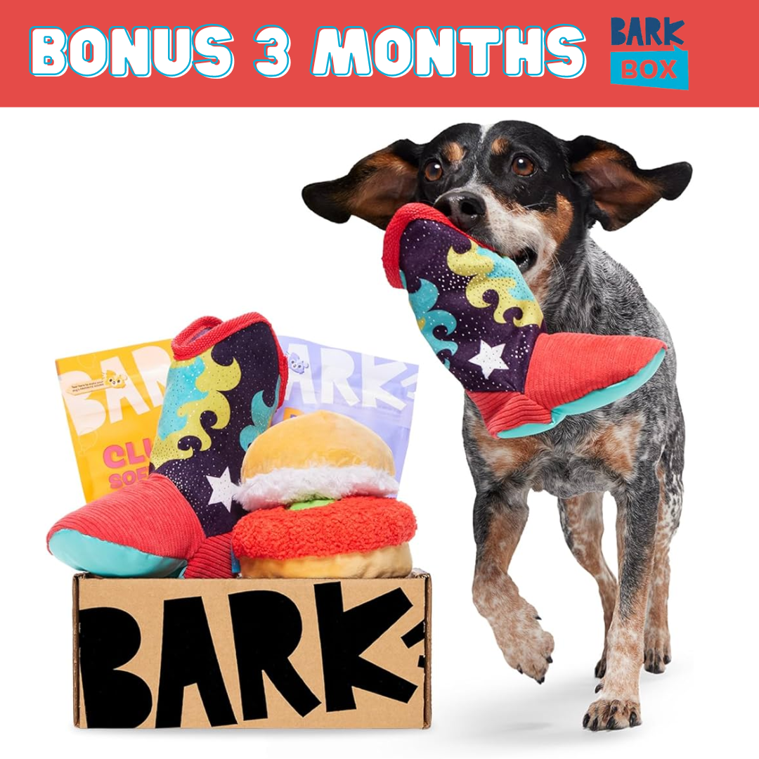 The Dog Days Custom Bundle