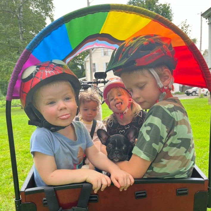 Pride Flag Sun Shade