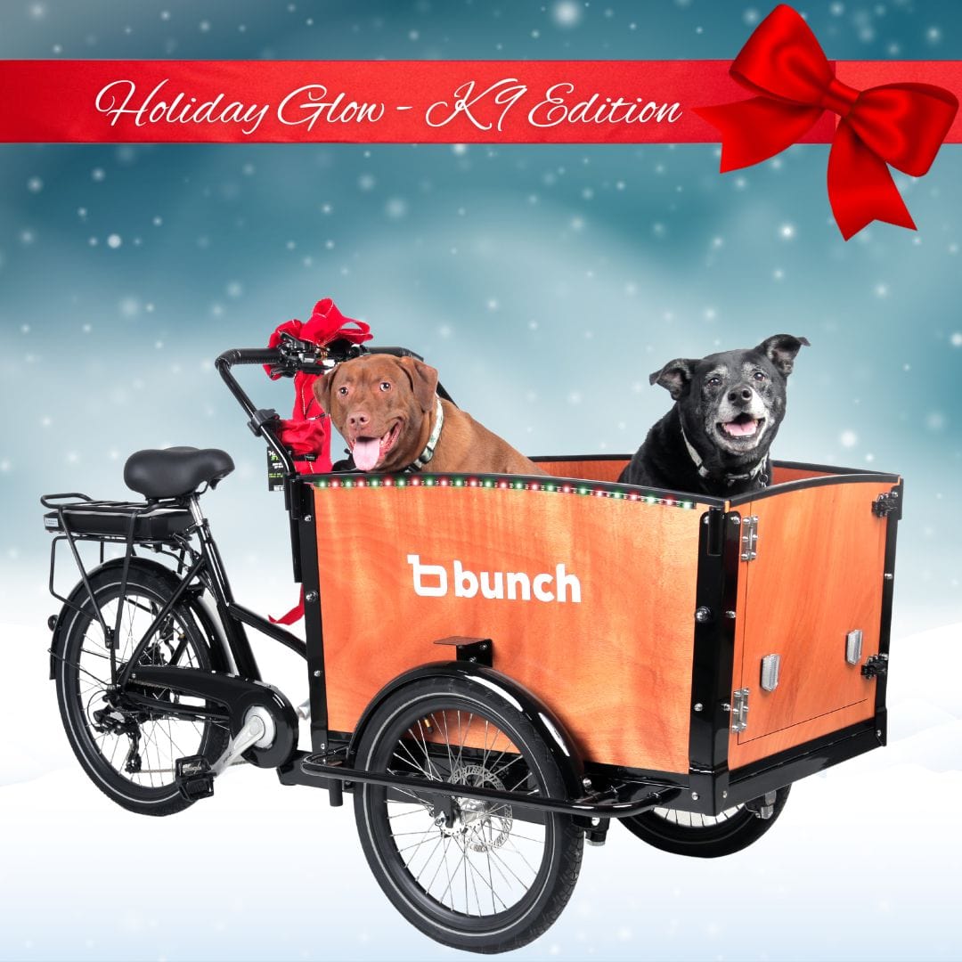 #Bike Model_The K9 3.0