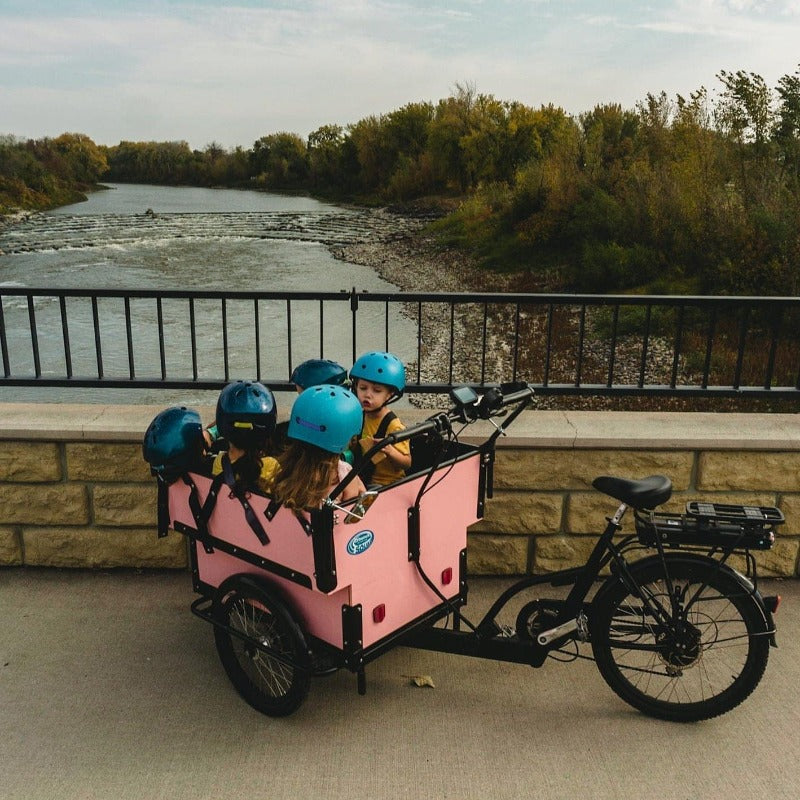 #color_Custom Design