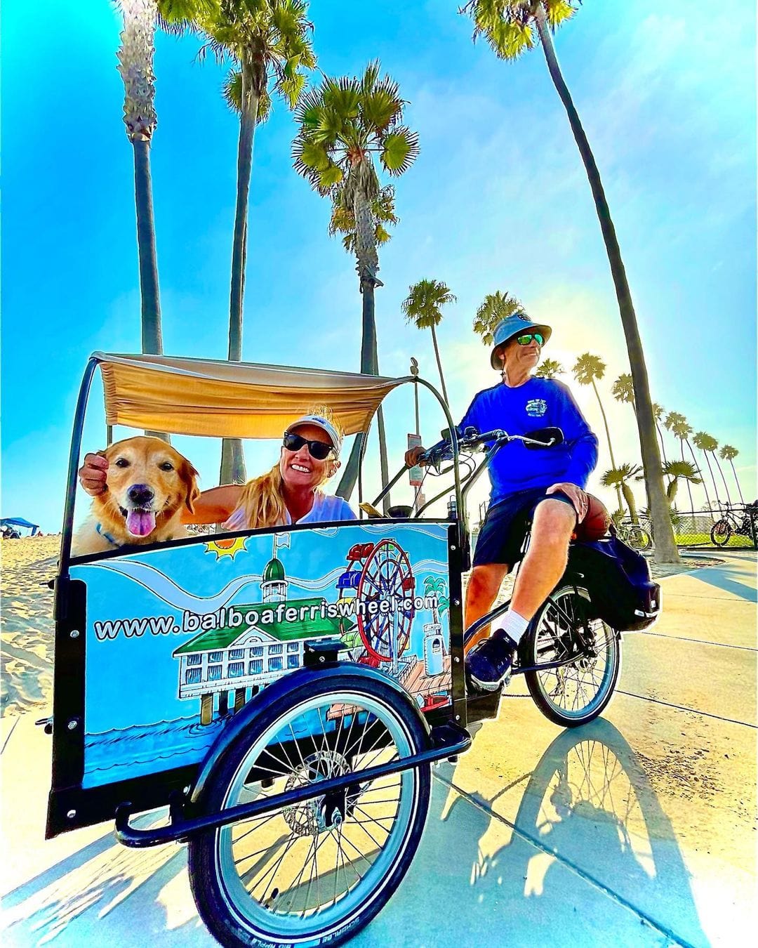 #color_Custom Design