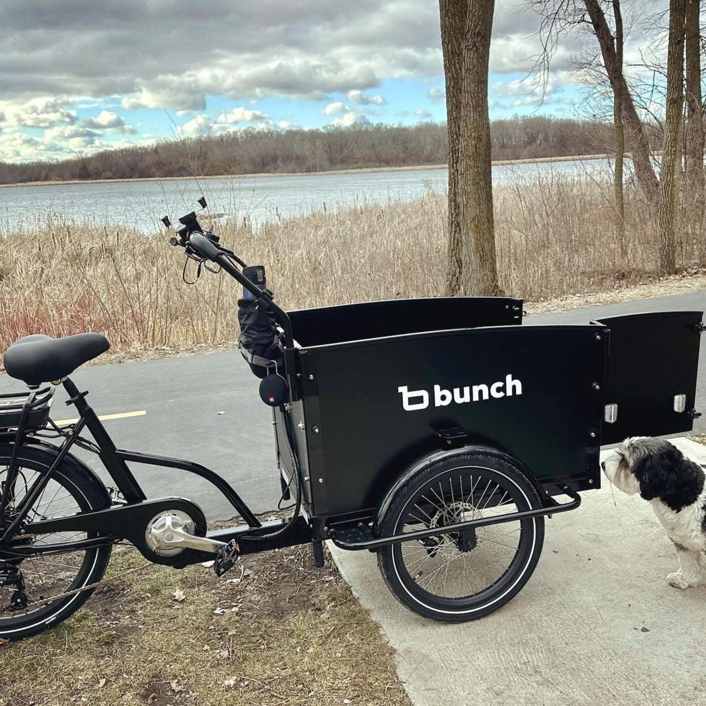 Bunch Bike K9 #color_Cool Black