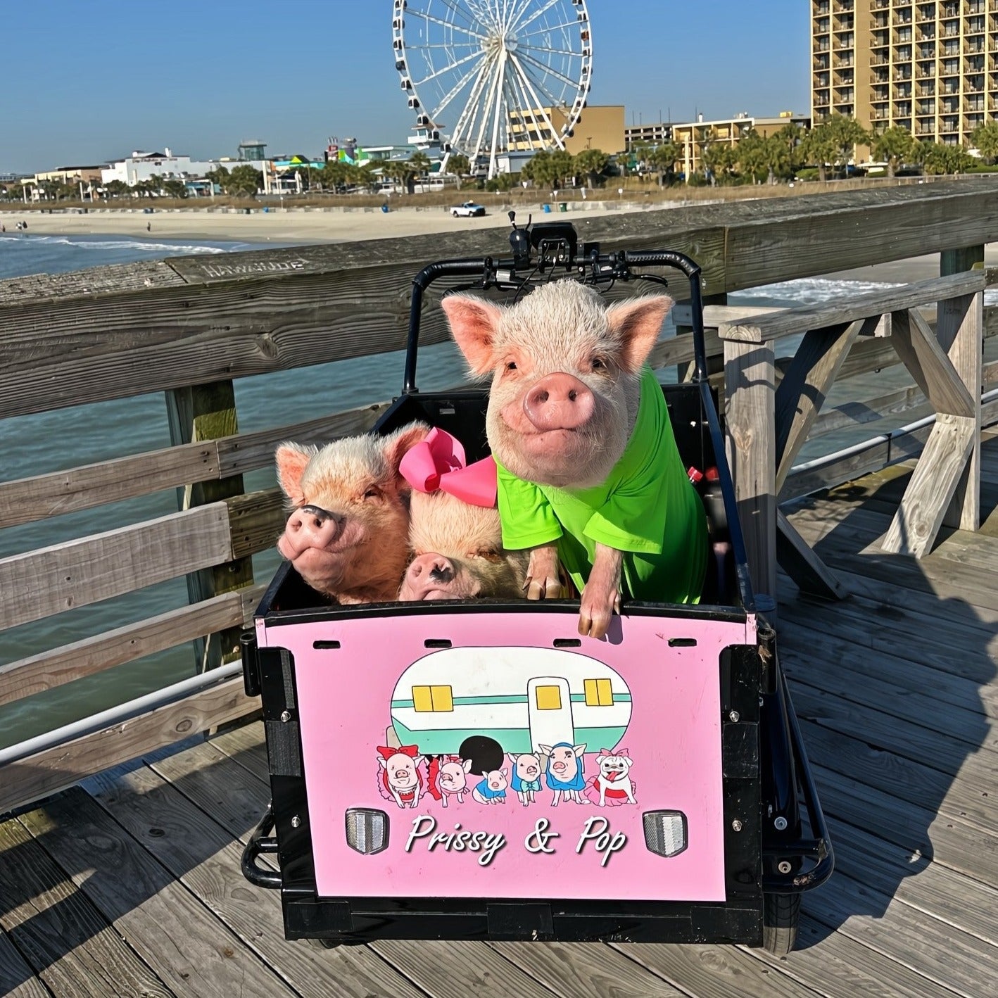 #color_Custom Design