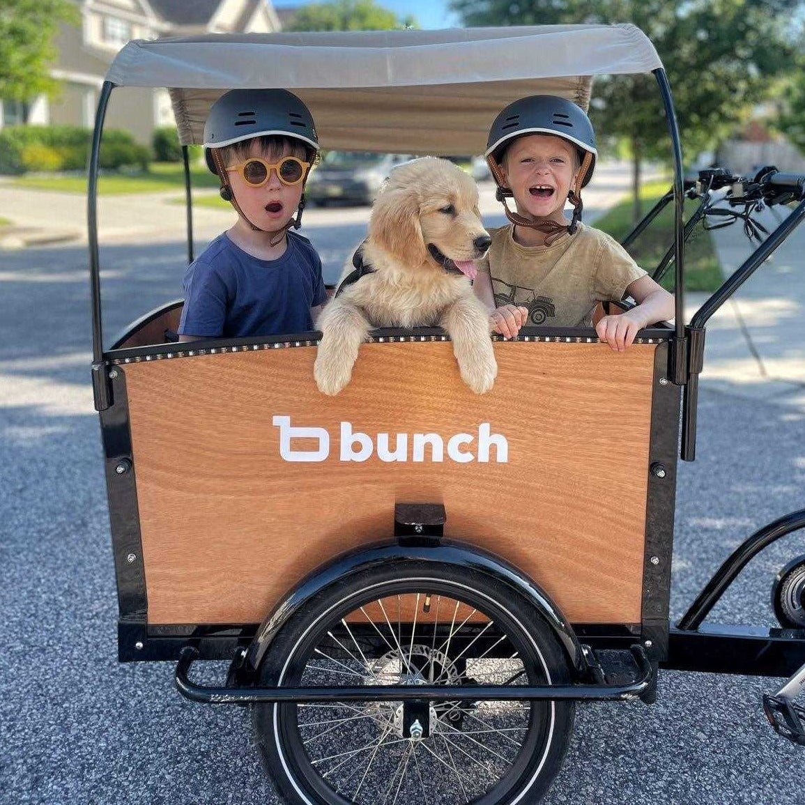 Two kids and cute puppy in Bunch Bike Original #color_Honey Woodgrain