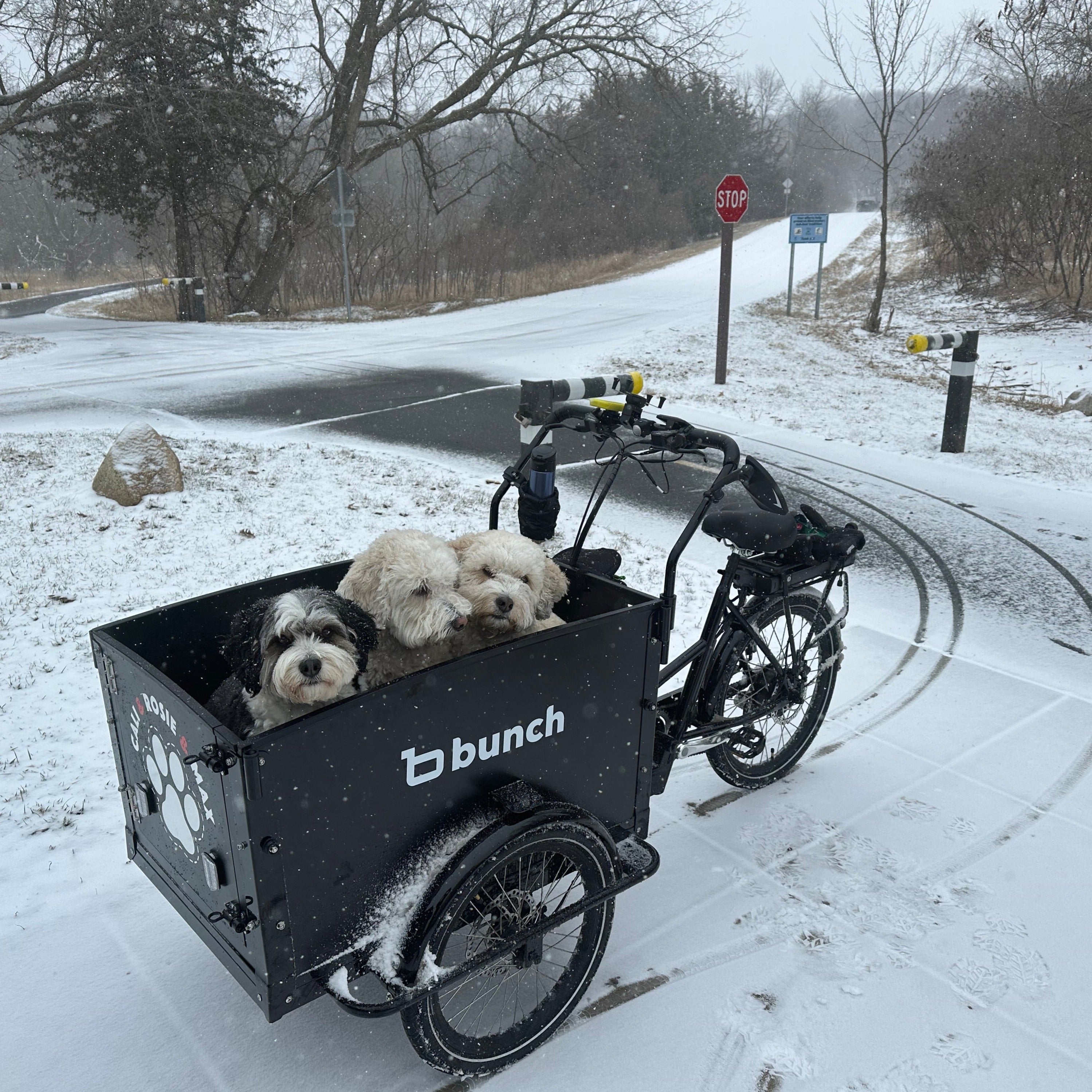 K9 Bunch Bike 4 with personalized design #color_Cool Black