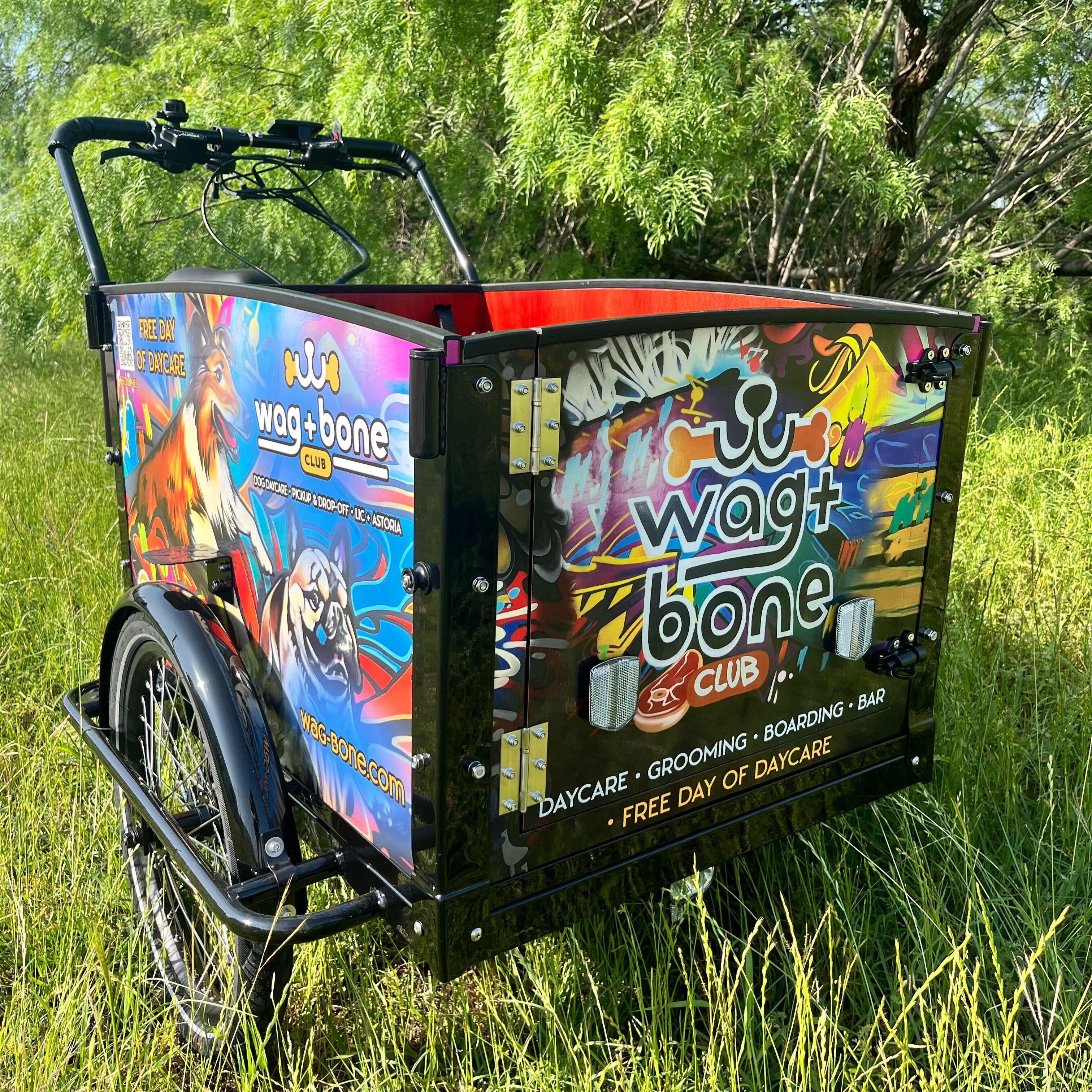 #color_Custom Design