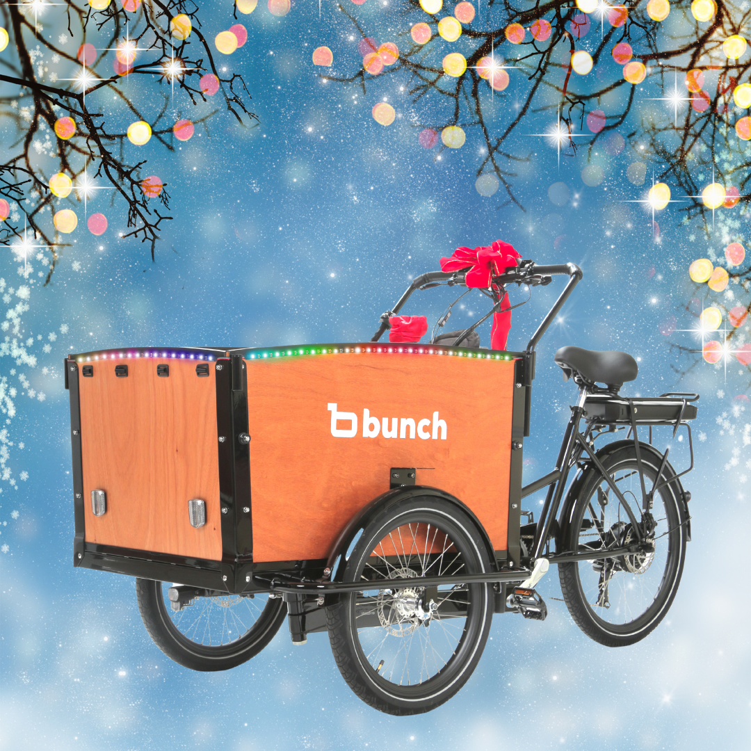 LED Party Lights (Rainbow & More)