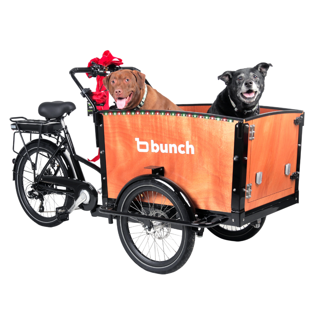 LED Party Lights (Rainbow & More)