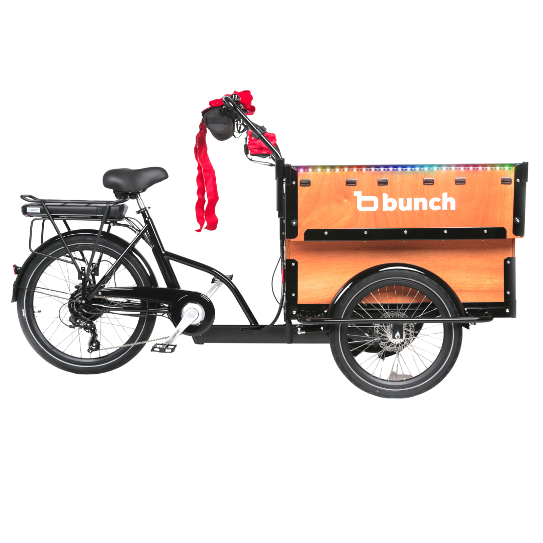 LED Party Lights (Rainbow & More)