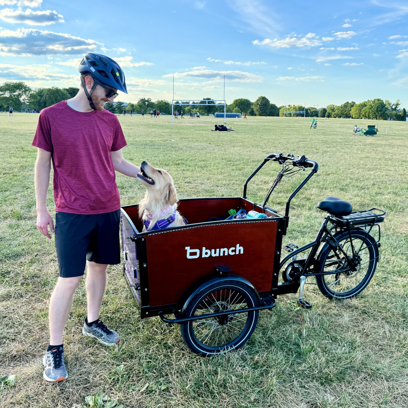 #color_Sedona Woodgrain