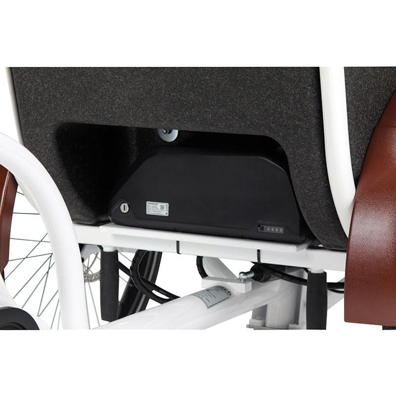 Closeout Cargo Bike - The Coupe