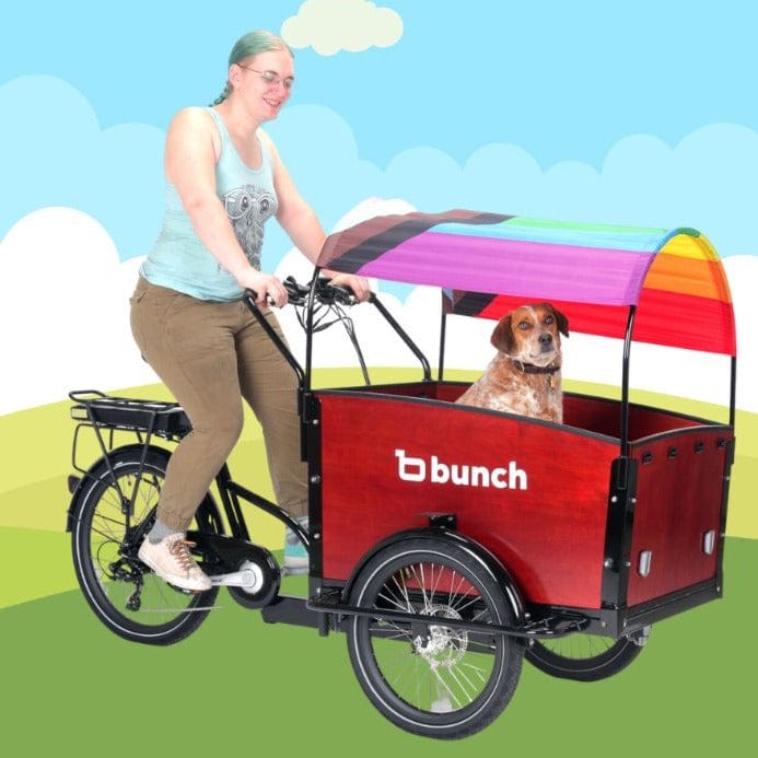 Pride Flag rainbow progress flag sun shade on bunch bike with Jessie and Red!