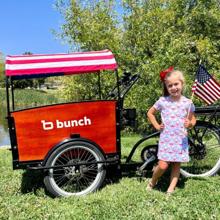 Stars & Stripes Flag Sun Shade