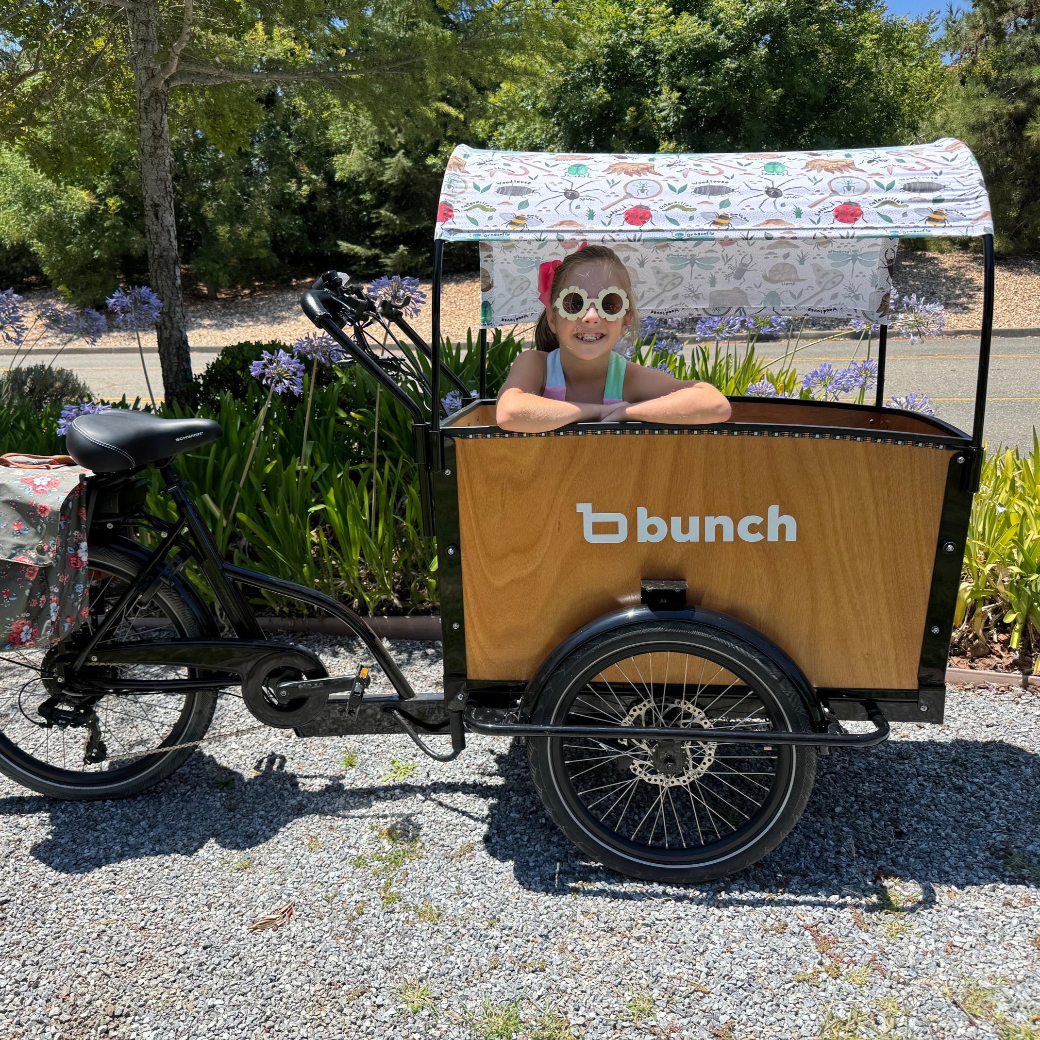 #style_Bug Parade (Stretch)