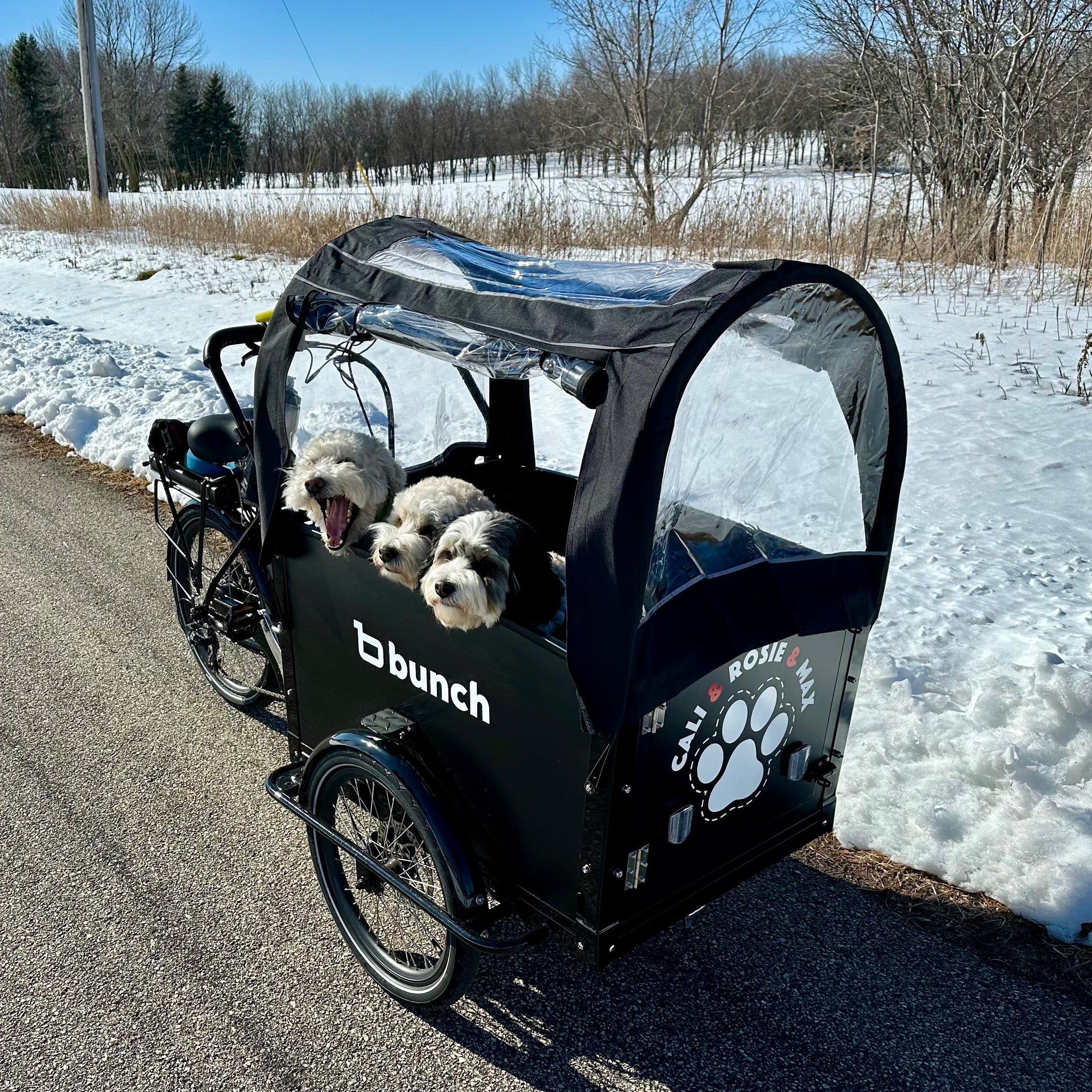 Bunch Bike K9 #color_Cool Black