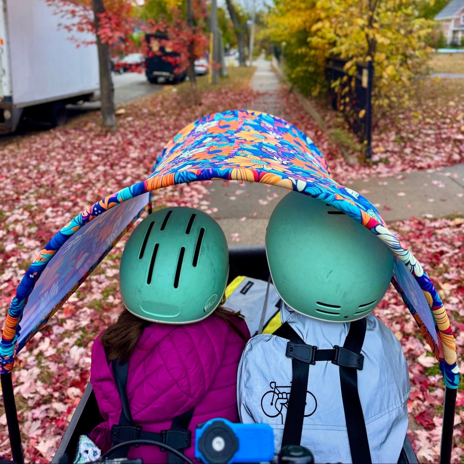 #style_Floral Joy (Stretch)