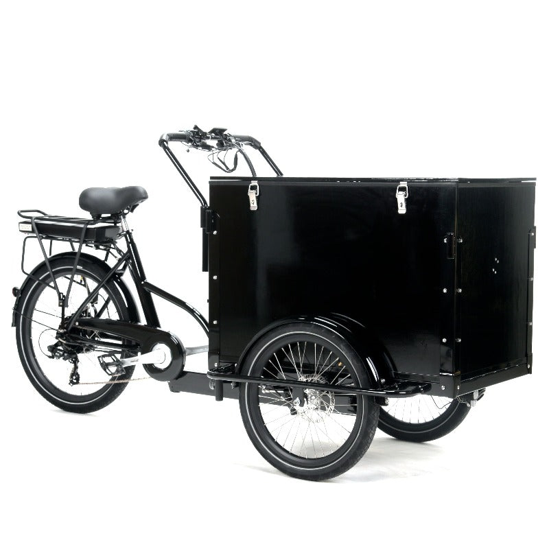shark tank electric bicycle wheel The Delivery 4+