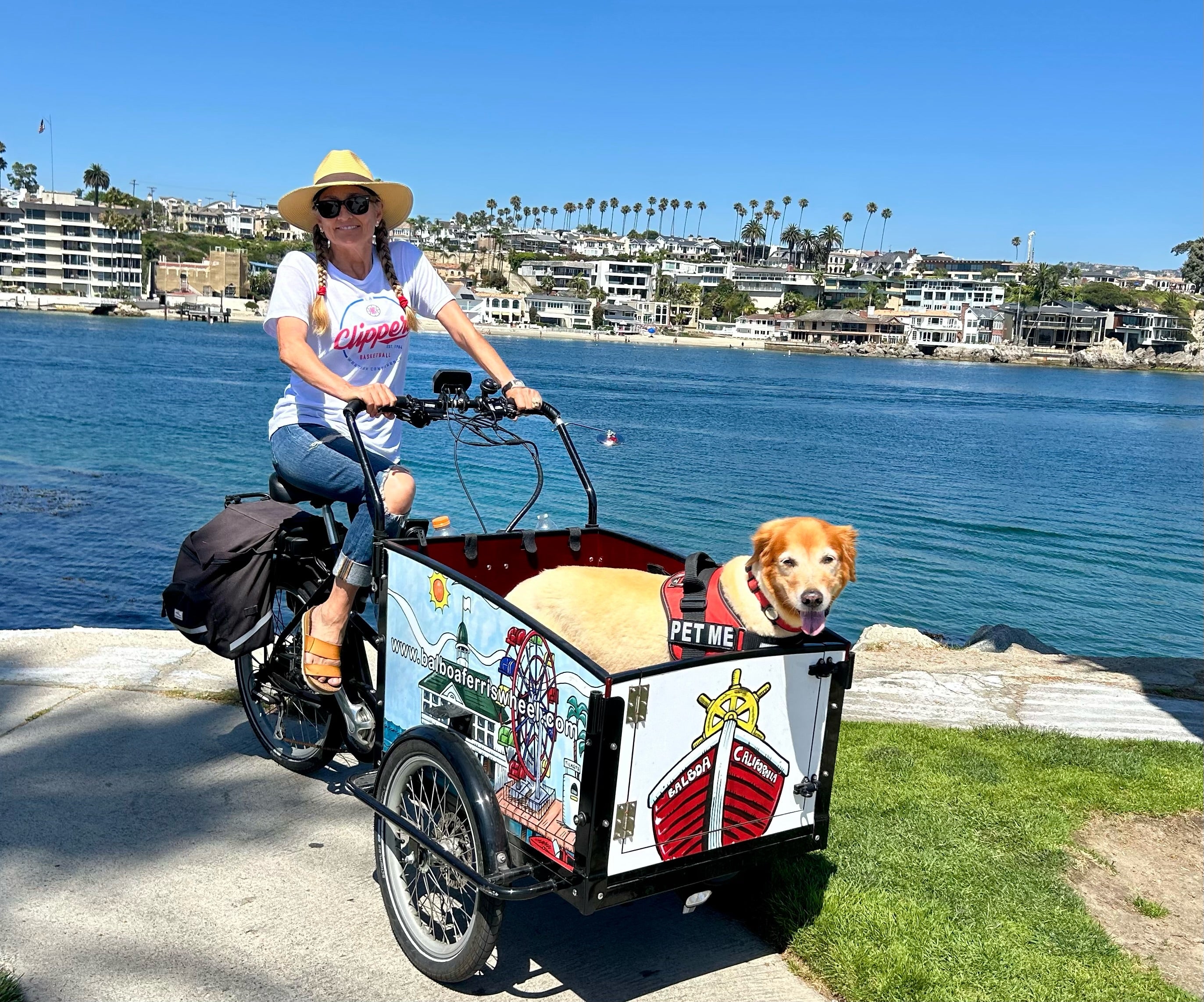 #color_Custom Design