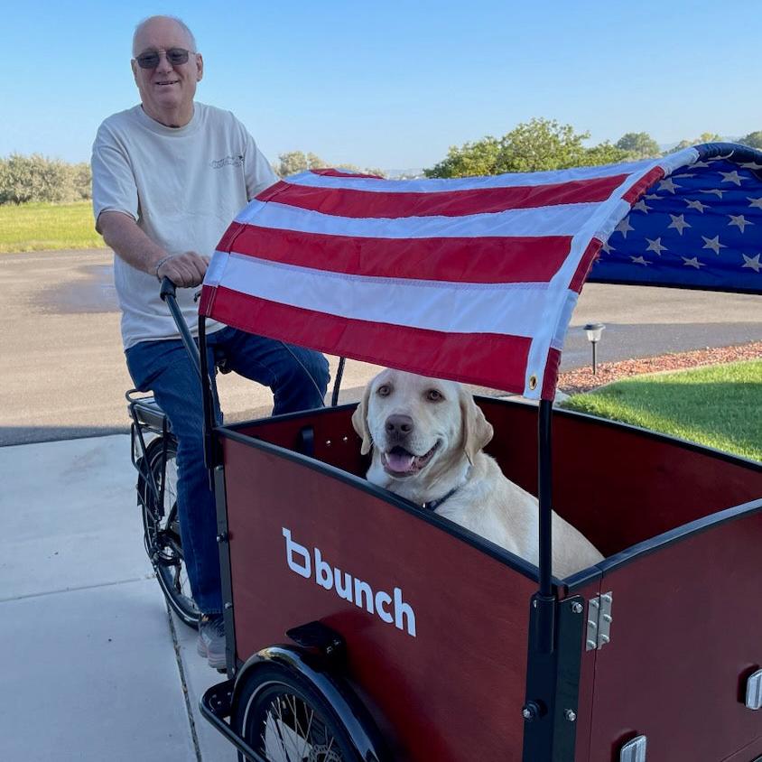 #style_Stars & Stripes