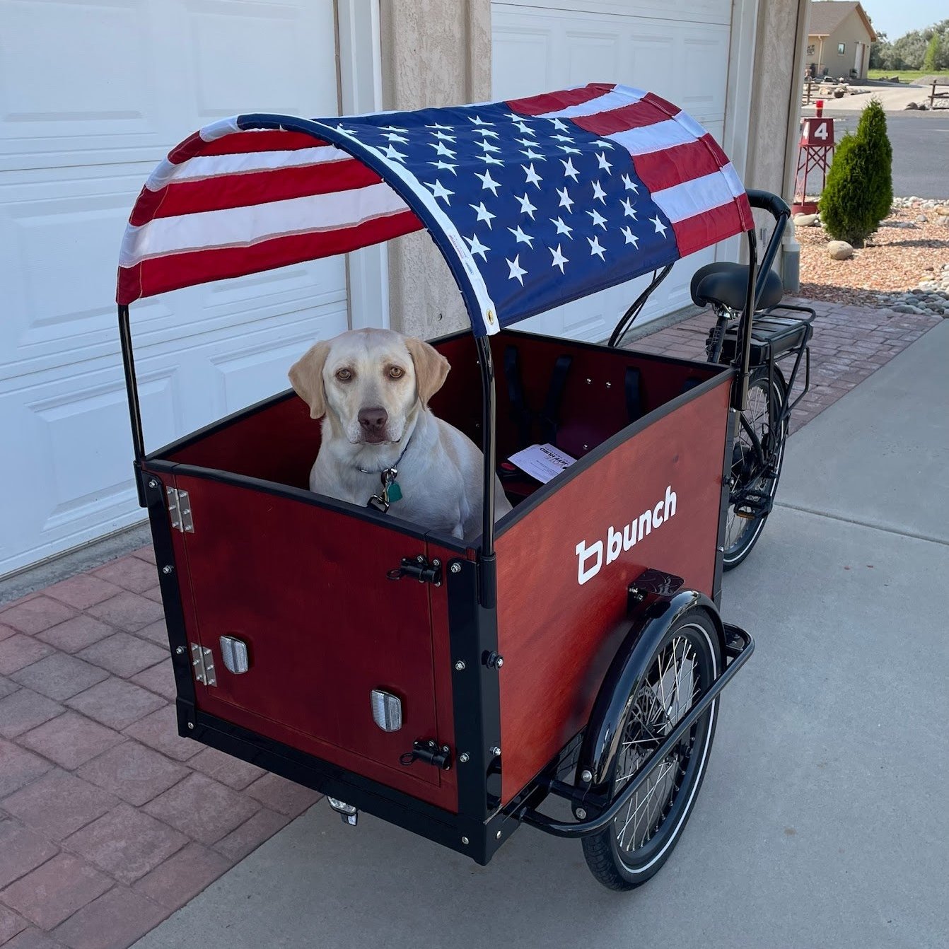 #Style_Stars & Stripes