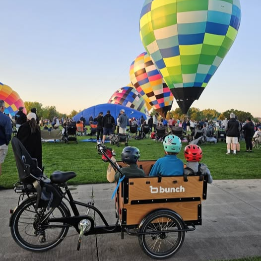 #color_Honey Woodgrain