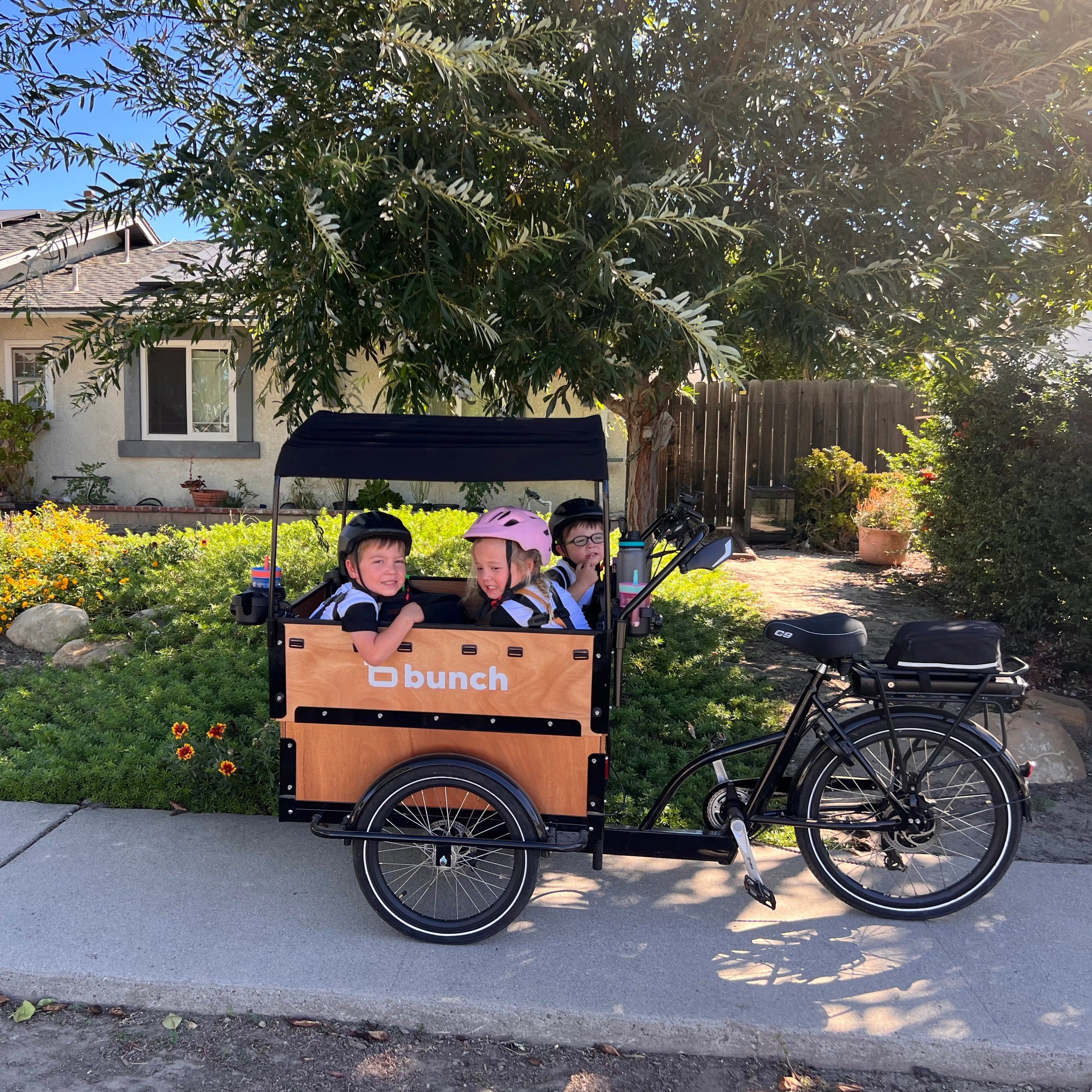 Preschool Bunch Bike #color_Honey Woodgrain