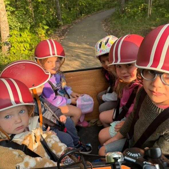 #color_Honey Woodgrain