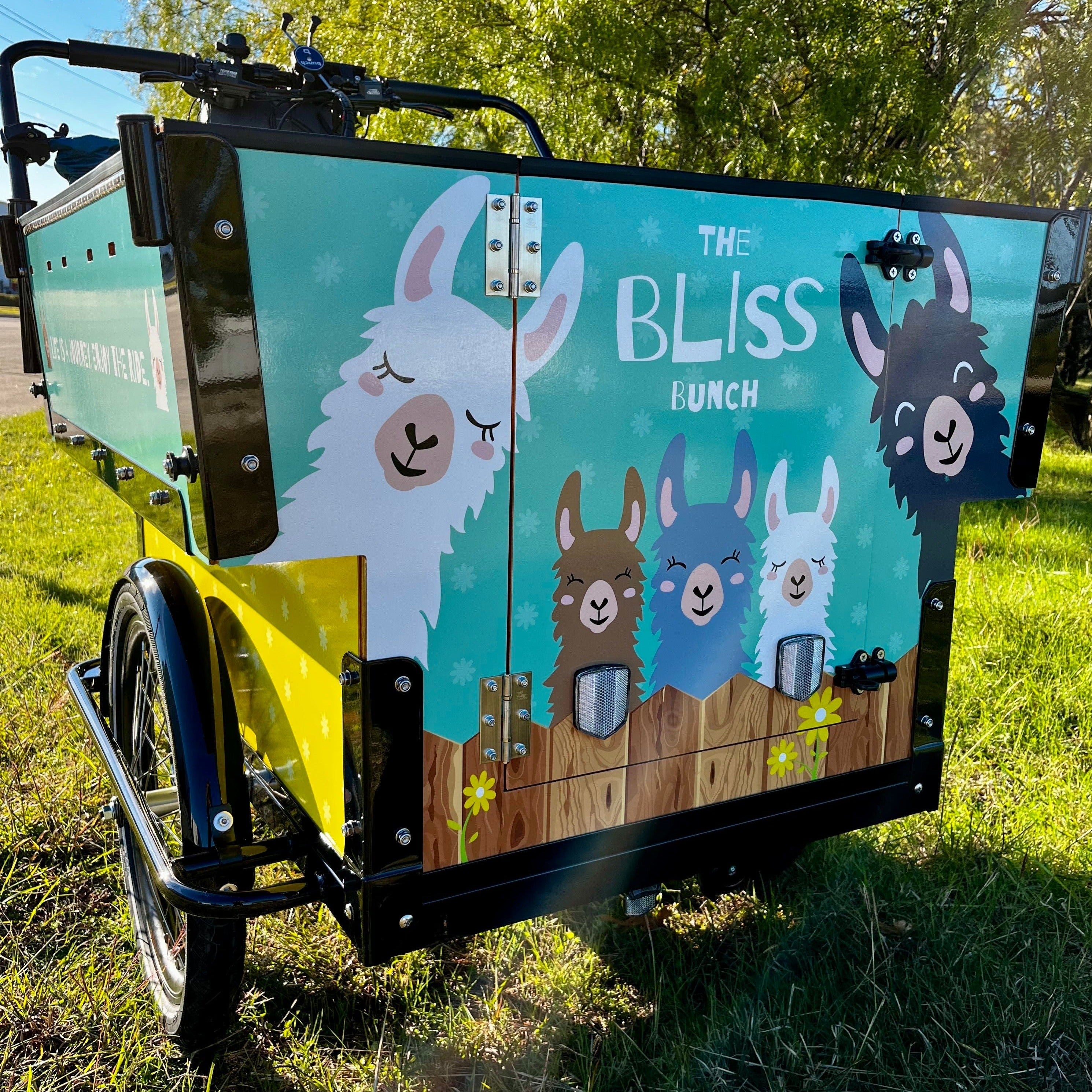 #color_Custom Design