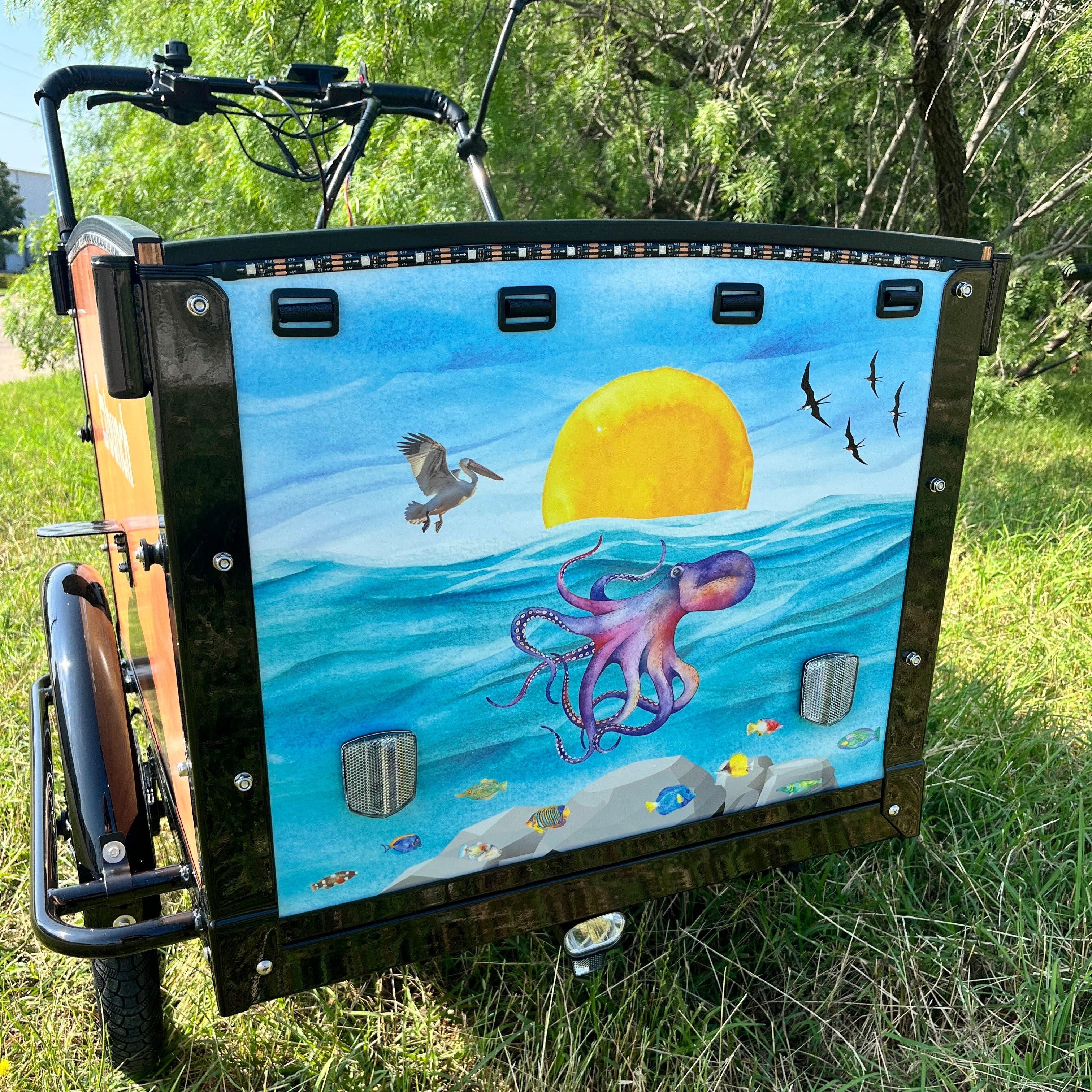 Custom Designed Front Panel