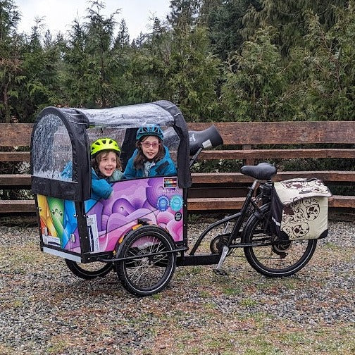 #color_Custom Design