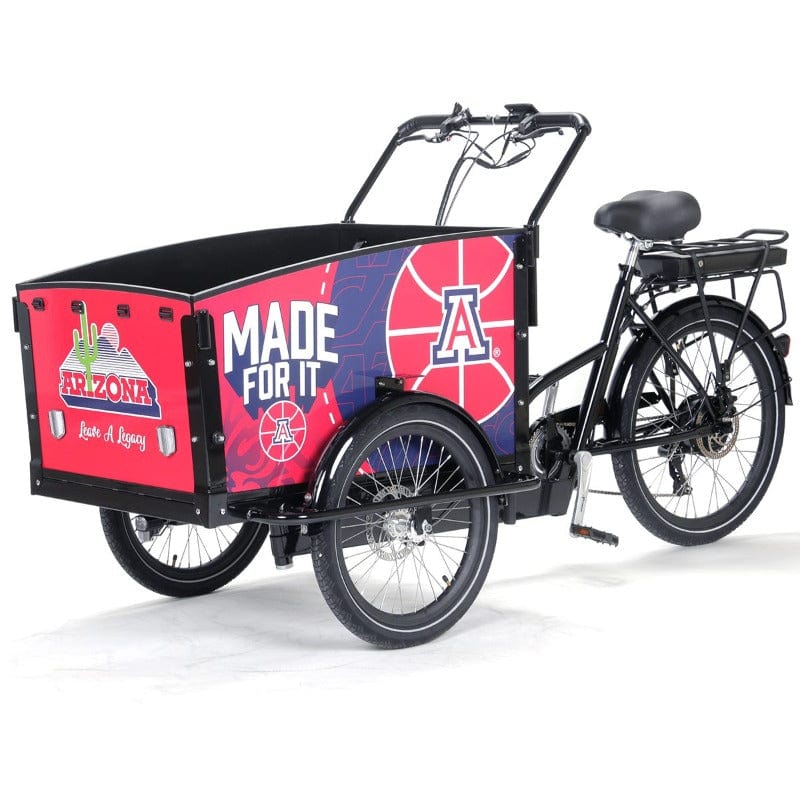 Bunch Bike designed for coach of Arizona Wildcats - #color_Custom Design
