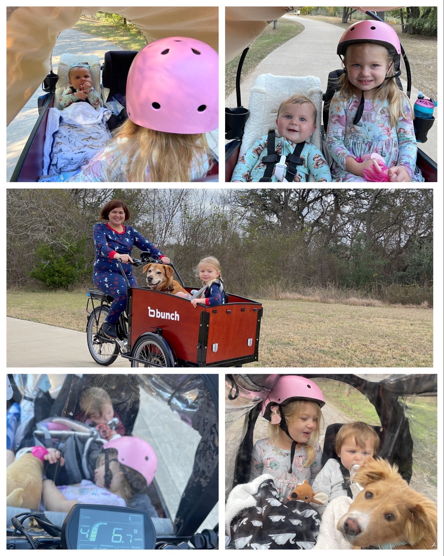 Photo collage of baby, toddler, and dog in Bunch Bike