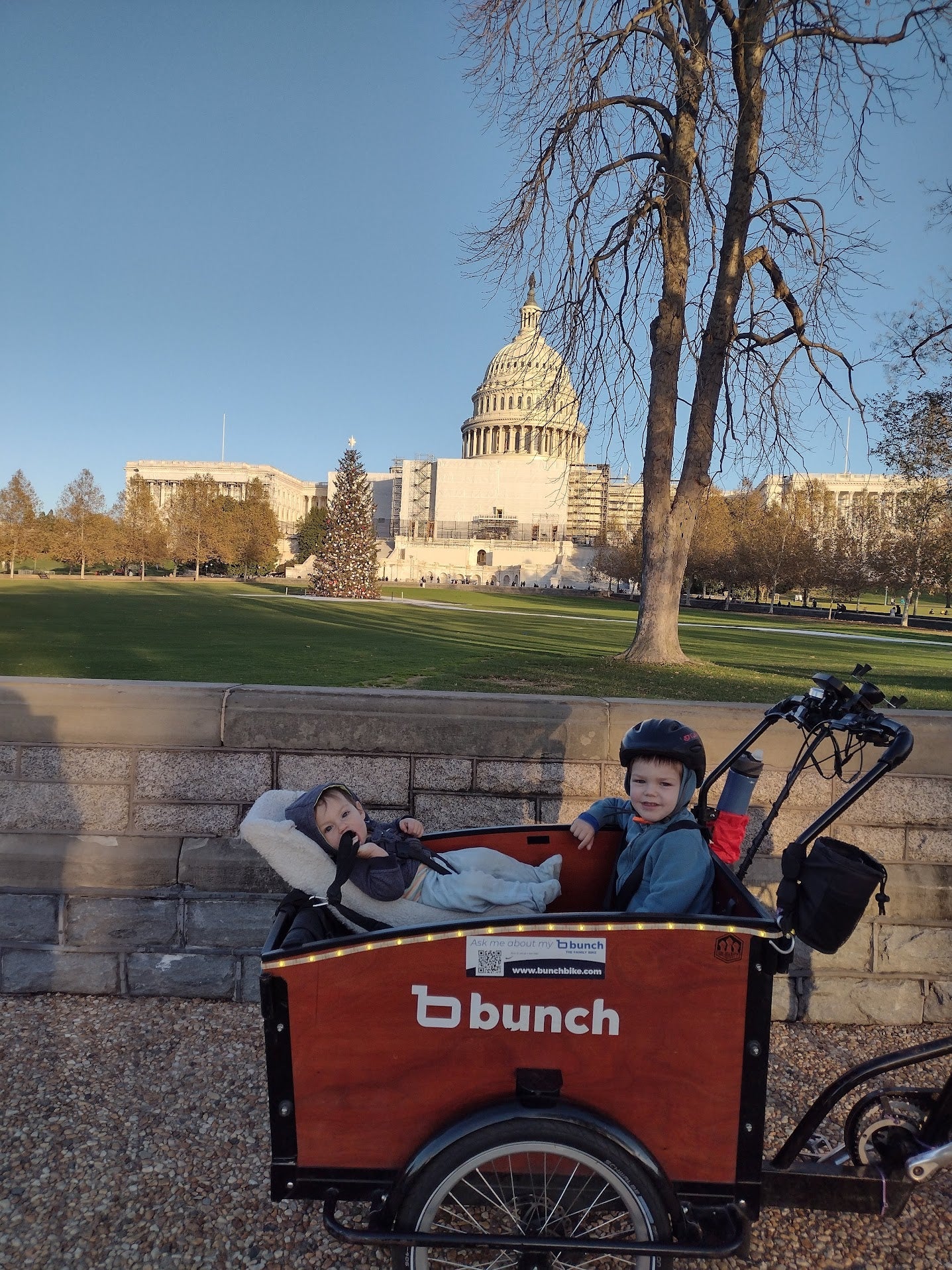 Baby and toddler in Bunch Bike in front of US Capitol