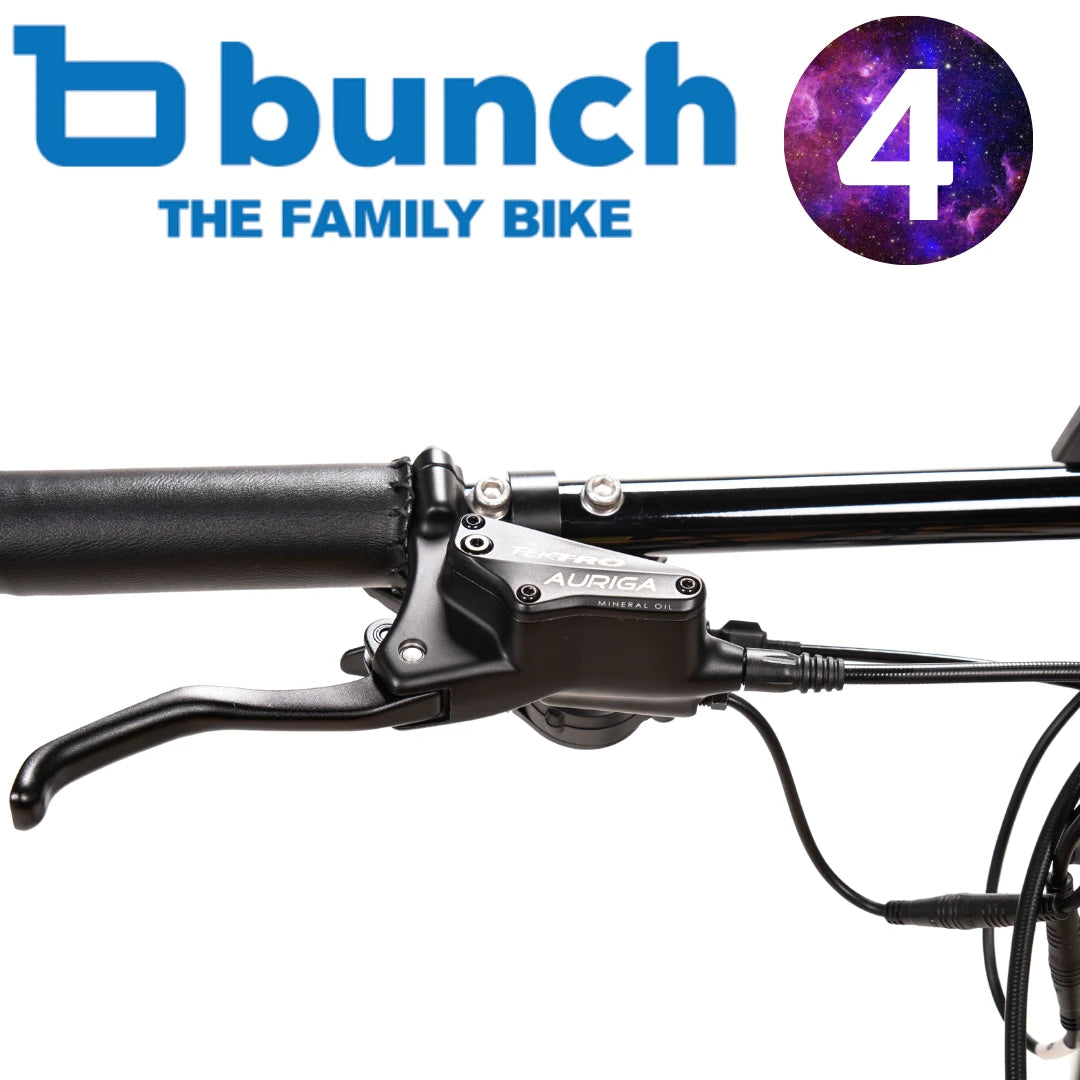 The Bunch Bike 4