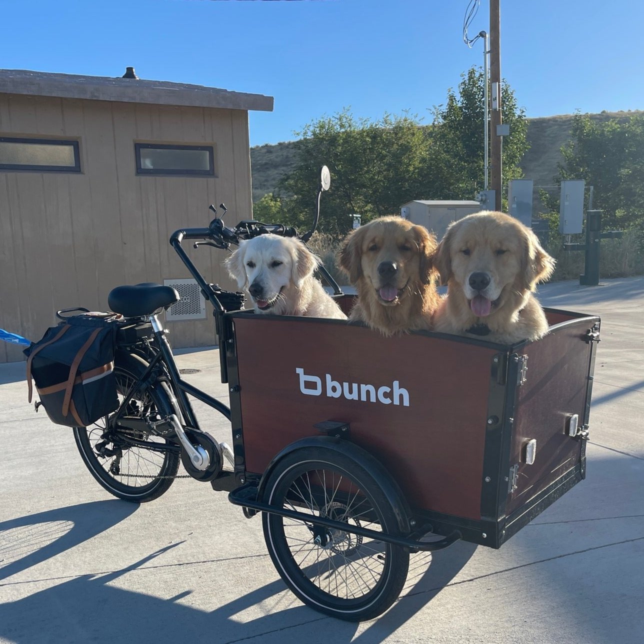 Babboe fashion electric cargo bike