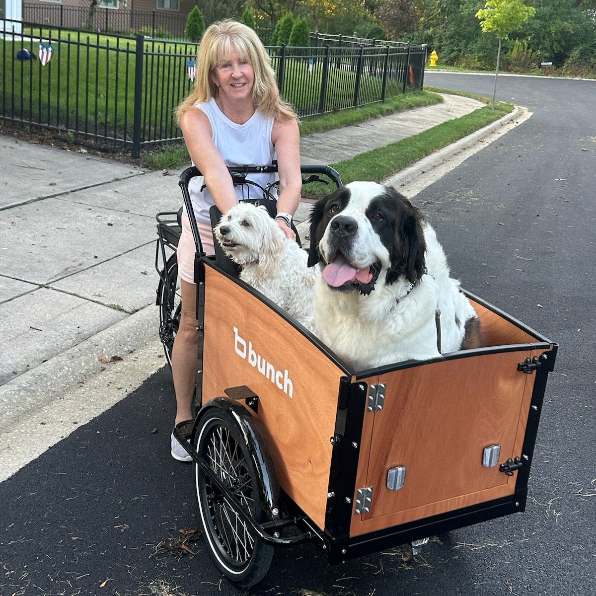 St. Bernard and Cavachon in bunch bike k9 #color_Honey Woodgrain