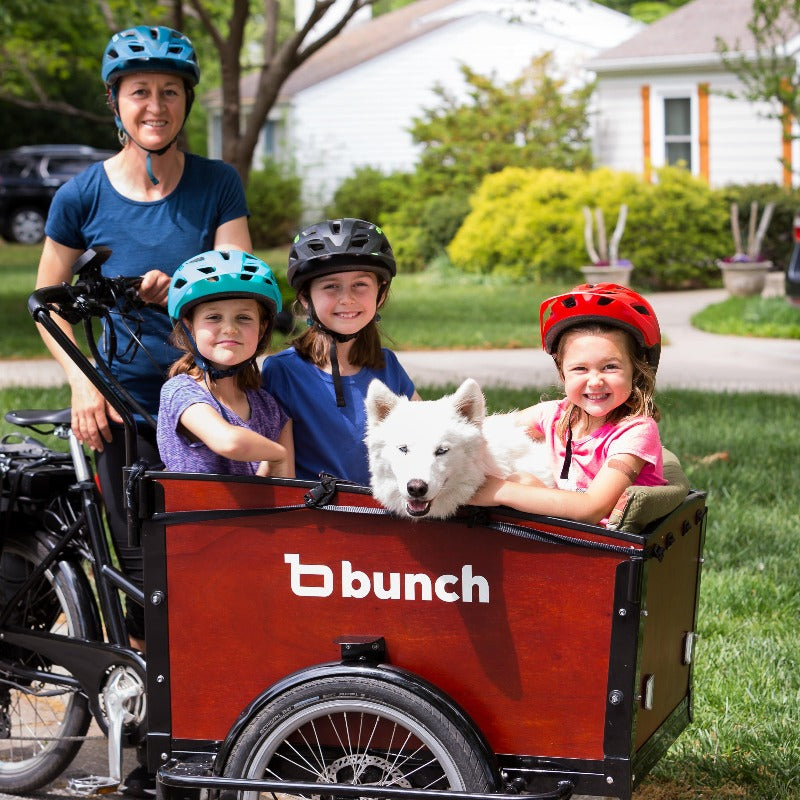 Three kids with dog in bunch bike - photo by Kathy Delorenzo #color_Classic Sedona Woodgrain