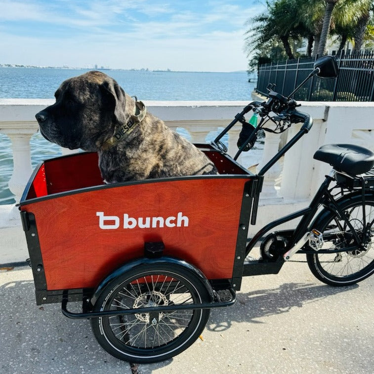 The K9 Electric Cargo Bike for Dogs e Cargo Trike Carries 2 Dogs