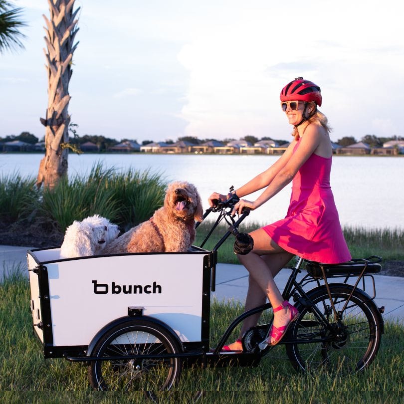 Woman with dog in K9 bunch bike cargo bike #color_Sleek White